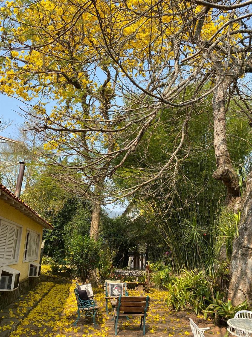 Pousada Casa Do Ipe Amarelo 米格尔-佩雷拉 外观 照片