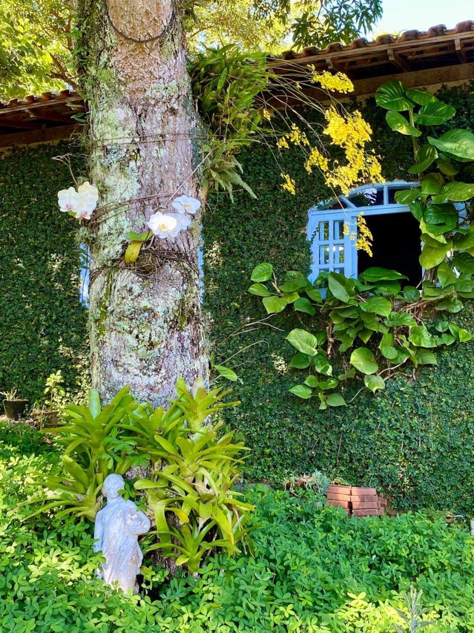 Pousada Casa Do Ipe Amarelo 米格尔-佩雷拉 外观 照片