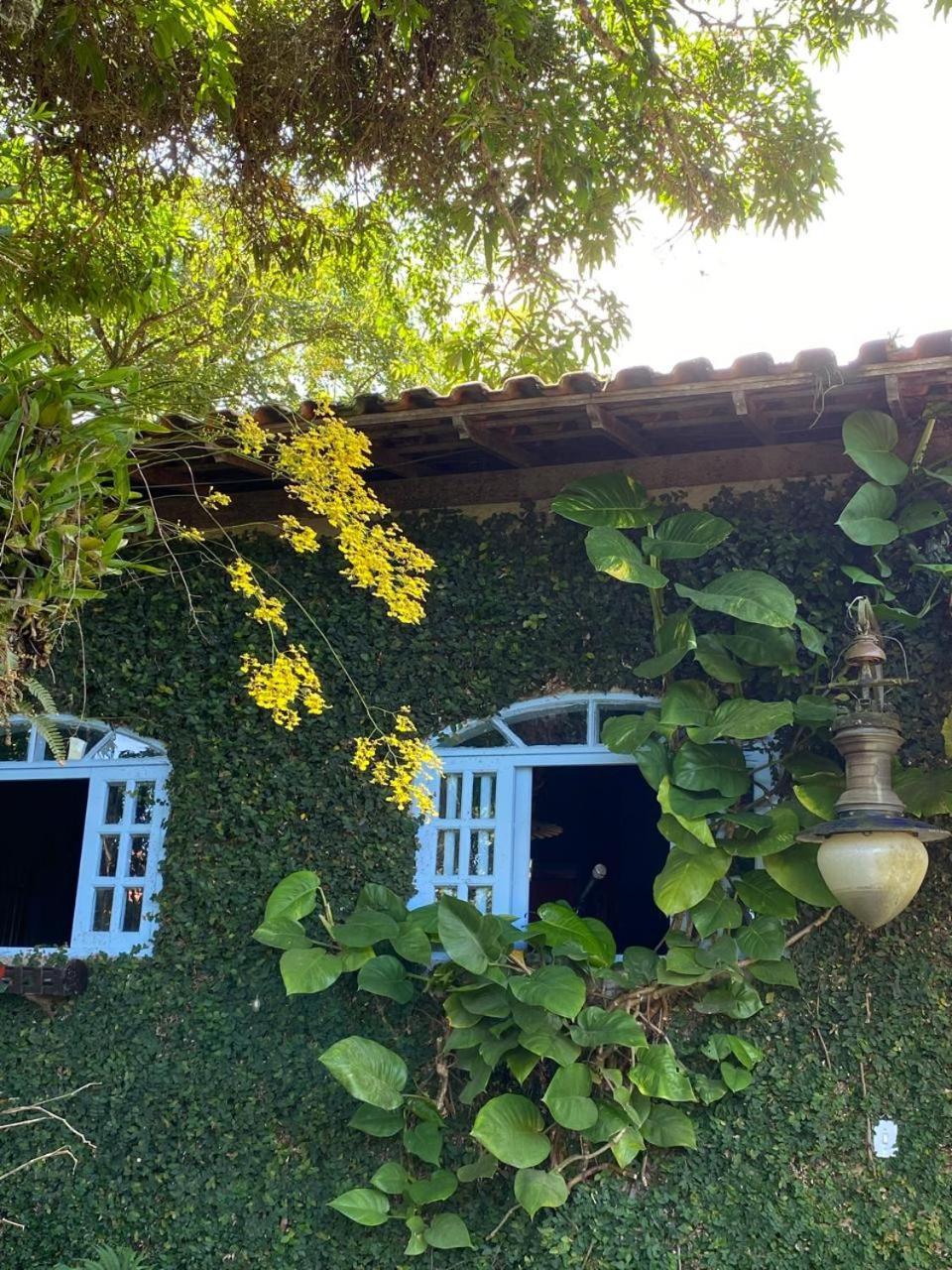 Pousada Casa Do Ipe Amarelo 米格尔-佩雷拉 外观 照片